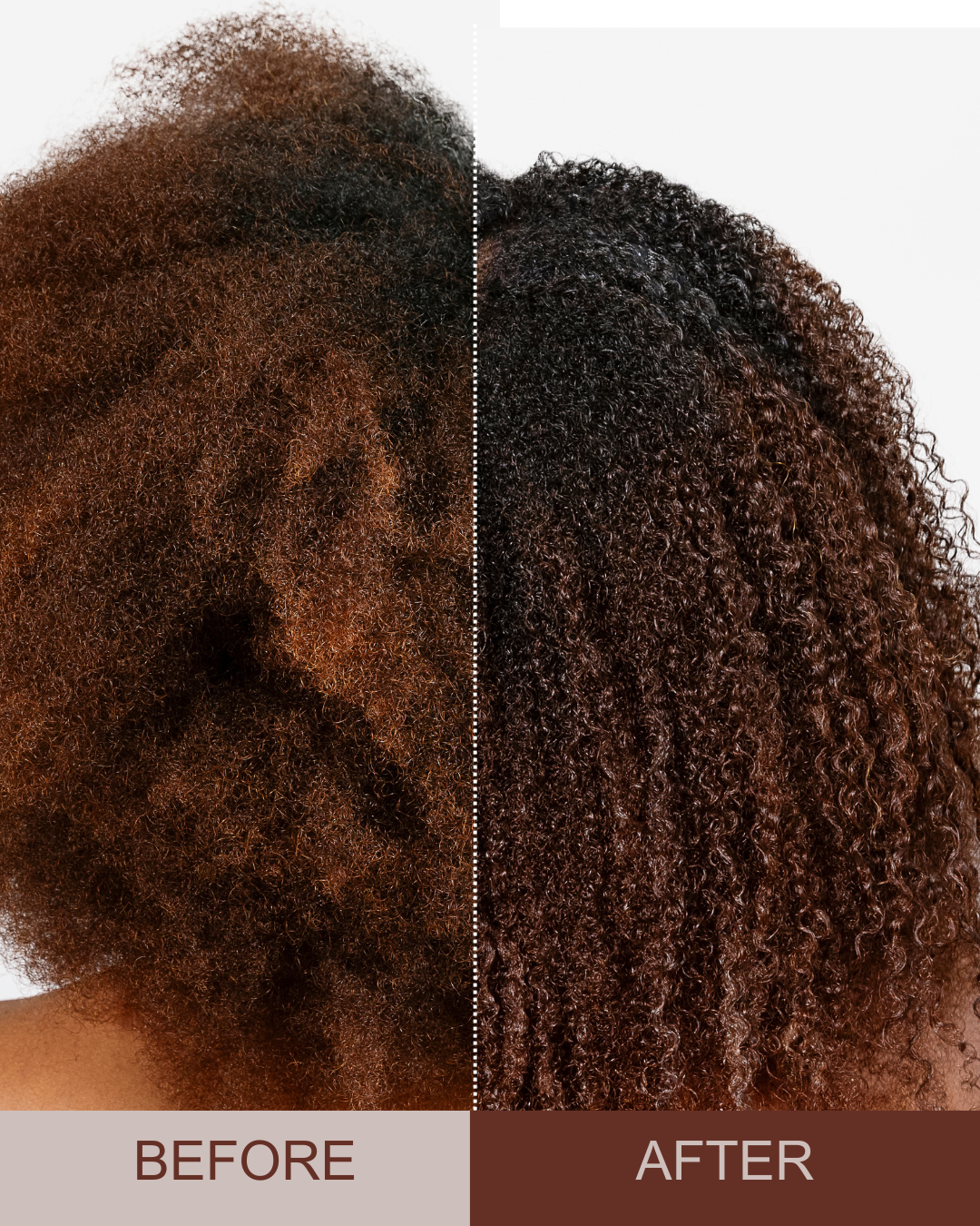 ROOTED REVIVall™ Cuticle Mending Peptide System – Salon Size