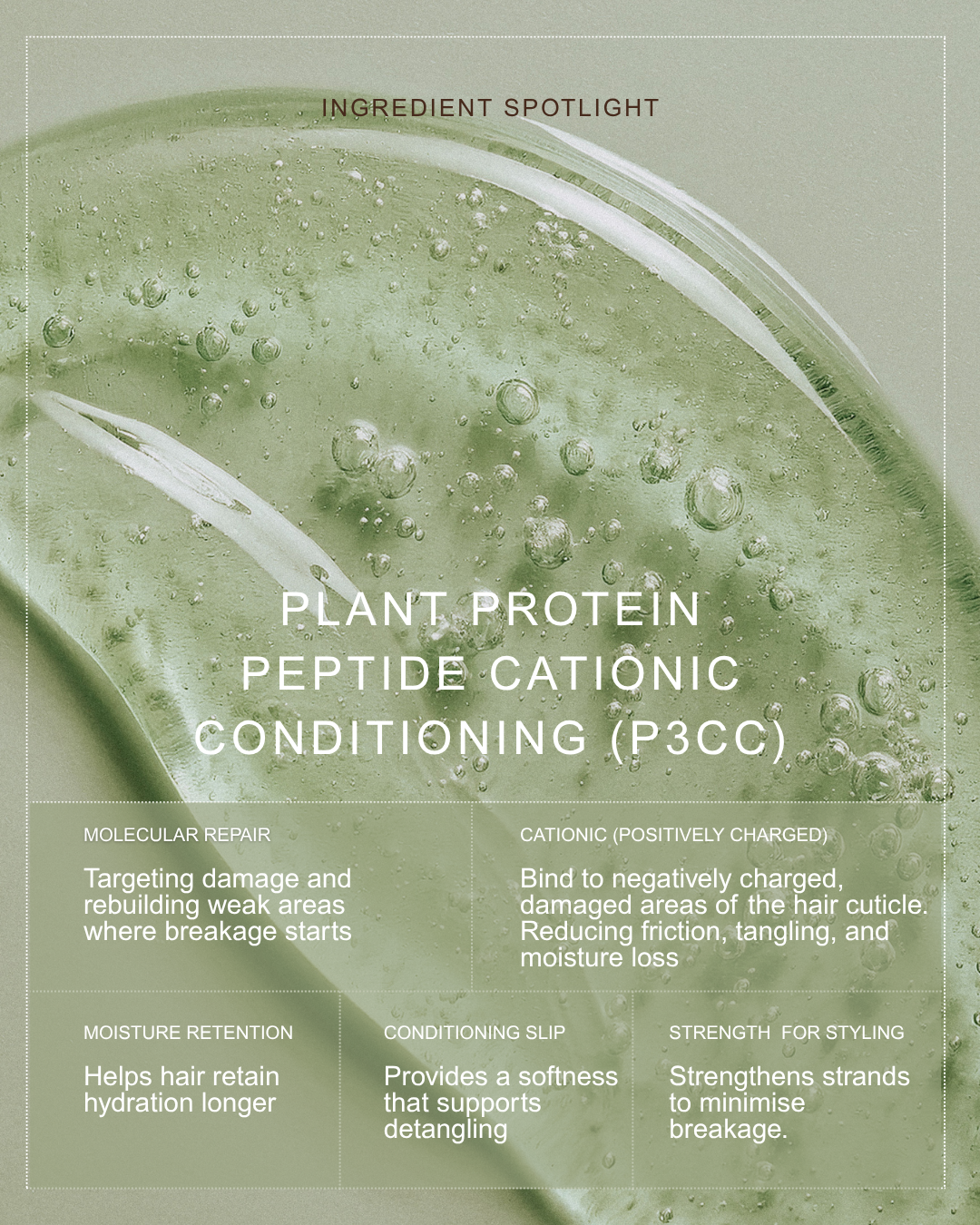 ROOTED REVIVall™ Cuticle Mending Peptide Shampoo – Breakage & Restoration Treatment