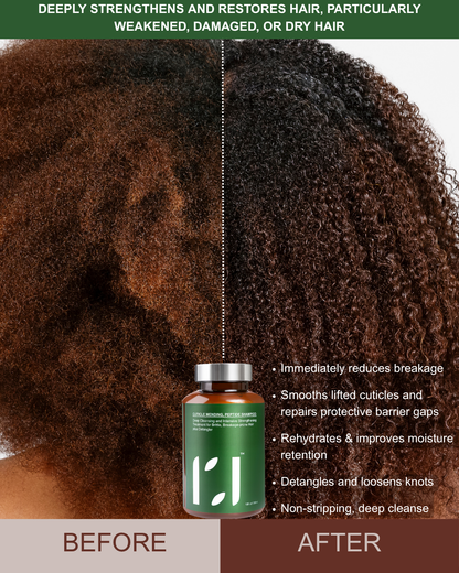 ROOTED REVIVall™ Cuticle Mending Peptide Shampoo – Breakage & Restoration Treatment