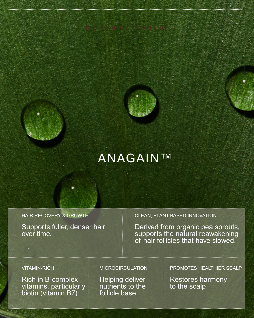 ROOTED REVIVall™ Cuticle Mending Peptide System – Breakage & Restoration Treatment Set