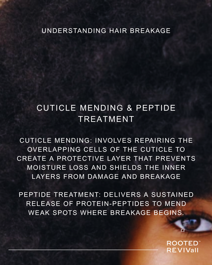 ROOTED REVIVall™ Cuticle Mending Peptide System – Breakage & Restoration Treatment Set