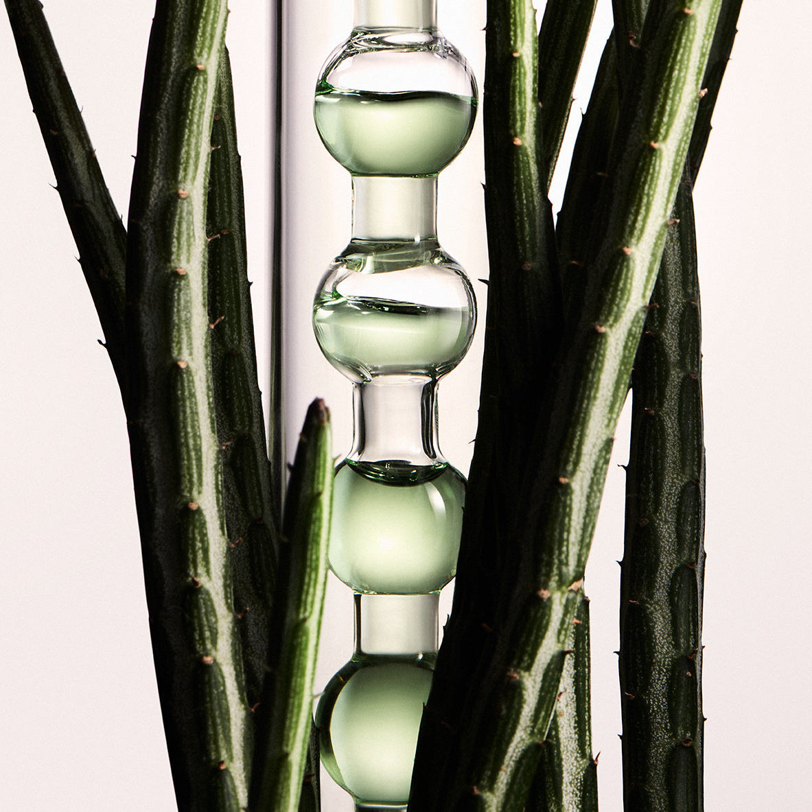 Glass water dropper with green liquid on a plant stem against a light cream background
